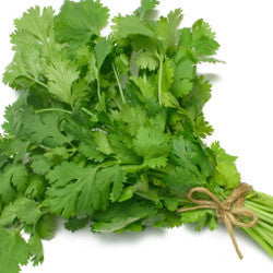 Coriander