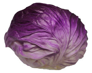 Cabbage Red Whole