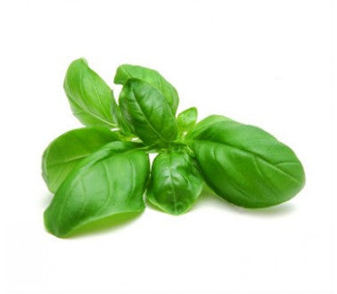 Basil Bunch