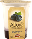 Yoghurt - Blueberry Flavour (200g)