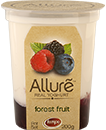 Yoghurt - Forest Fruit Flavour (200g)