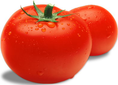 Tomato - Gourmet Large