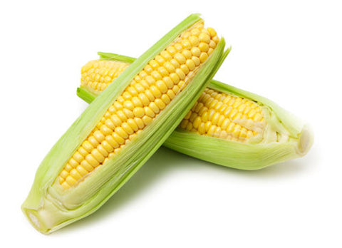 Sweet Corn