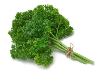 Parsley - Curly