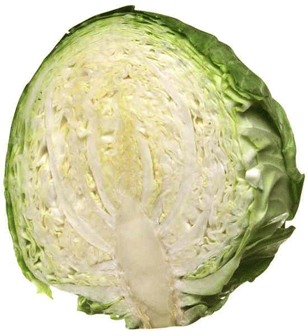 Cabbage Half