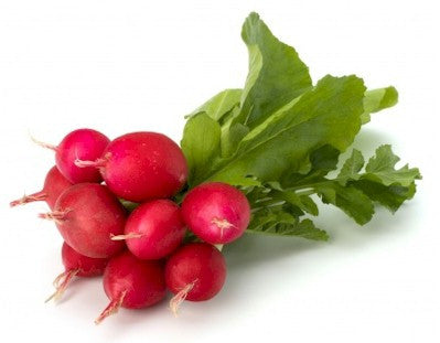 Red Radishes